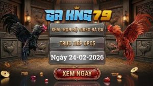 GAKING79 Xem Full Clip Da Ga Truc Tiep CPC5 Ngay 24022026 1