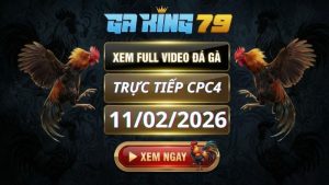 Xem Full Clip Da Ga Truc Tiep CPC4 Ngay 11022026 2