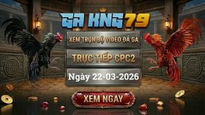 Xem Full Clip Đá Gà Trực Tiếp CPC2 Ngày 22/03/2026