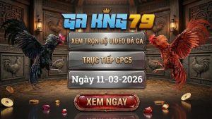 GAKING79 Xem Full Clip Da Ga Truc Tiep CPC5 Ngay 11032026 1