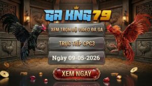 Xem Full Clip Đá Gà Bồ CPC3 Ngày 09/05/2026