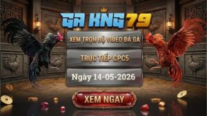 Xem Full Clip Đá Gà Bồ CPC5 Ngày 14/05/2026