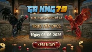 Xem Full Video Đá Gà CPC2 Ngày 08/06/2026