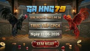 Xem Full Video Đá Gà CPC4 Ngày 11/06/2026 Tại GAKING79